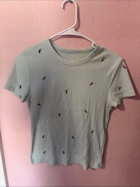 American Eagle Outfitters Mint Short-Sleeve Ribbed Tee with Embroidered Flowers